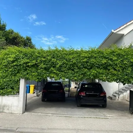 Cambi 11